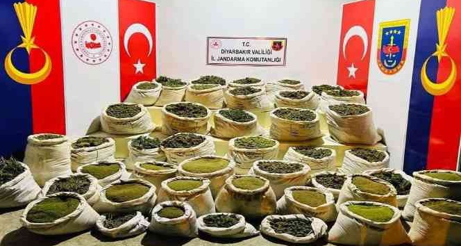 Diyarbakır’da milyonlarca kök uyuşturucu madde ele geçirildi