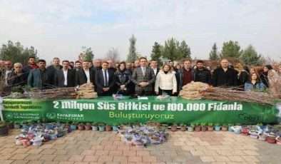 Diyarbakır Kayapınar Belediyesi 36 bin fidan dağıttı