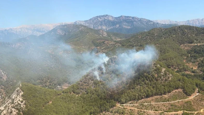 anamurda-orman-yangini-cikti