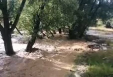 MERSİN'DE SAĞANAK YAĞIŞ SELE NEDEN OLDU