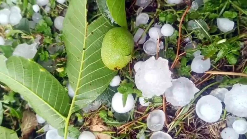 MERSİN'DE ŞİDDETLİ DOLU YAĞIŞI ETKİLİ OLDU