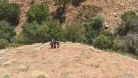 DİYARBAKIR'DA 71 YIL KESİNLEŞMİŞ HAPİS CEZASI İLE 20 YILDIR ARANAN ŞAHIS YAKALANDI