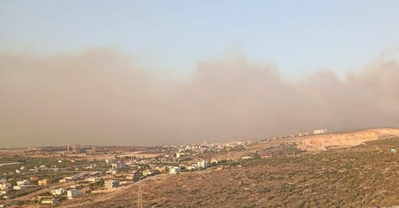 MERSİN SİLİFKE'DE ORMAN YANGINI