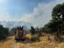 DİYARBAKIR'DA ÇIKAN ORMAN YANGININA 9 SAATTİR MÜDAHALE DEVAM EDİYOR