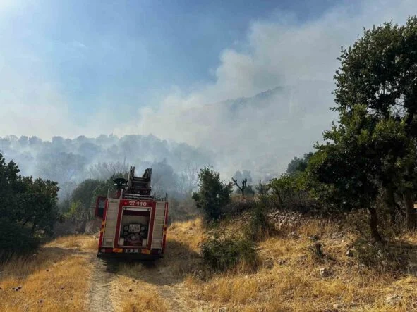 DİYARBAKIR'DA ÇIKAN ORMAN YANGININA 9 SAATTİR MÜDAHALE DEVAM EDİYOR