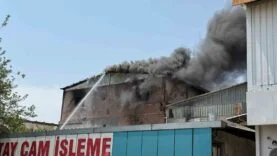 DİYARBAKIR’DA SANAYİ SİTESİNDE BULUNAN KERESTE DEPOSUNDA YANGIN ÇIKTI. BÖLGEYE ÇOK SAYIDA İTFAİYE EKİBİ SEVK EDİLDİ. SÖNDÜRME ÇALIŞMALARI DEVAM EDİYOR.