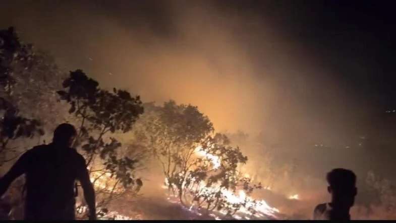 DİYARBAKIR'DA ORMANLIK ALANDA ÇIKAN YANGIN SÖNDÜRÜLDÜ