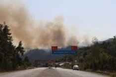 TÜRKİYE - SURİYE SINIRININ SIFIR NOKTASINDA ORMAN YANGINI