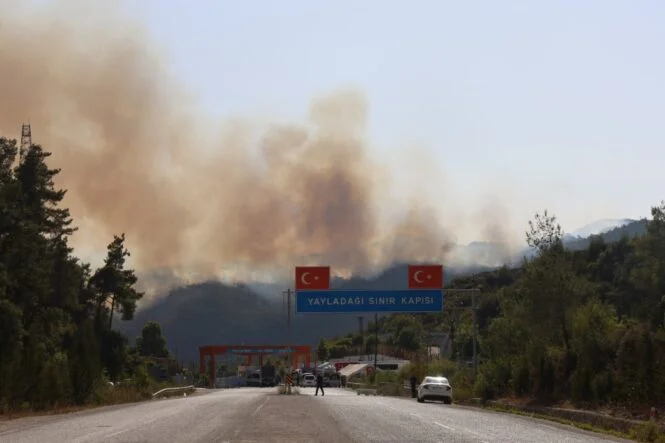 TÜRKİYE - SURİYE SINIRININ SIFIR NOKTASINDA ORMAN YANGINI