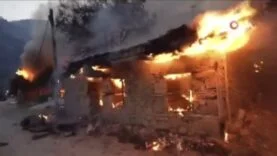 Screenshot_20250816_005026_Gallery