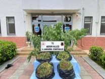 Mersin’de zehir tacirlerine operasyon