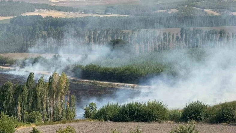 DİYARBAKIR'DA HEVSEL BAHÇELERİNDEKİ MISIR TARLASINDA ANIZ YANGINI