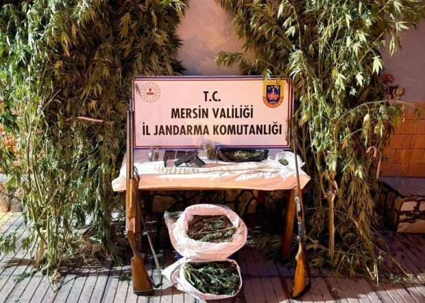MERSİN'DE BAHÇELERİNE KENEVİR EKEN 3 ŞÜPHELİ YAKALANDI