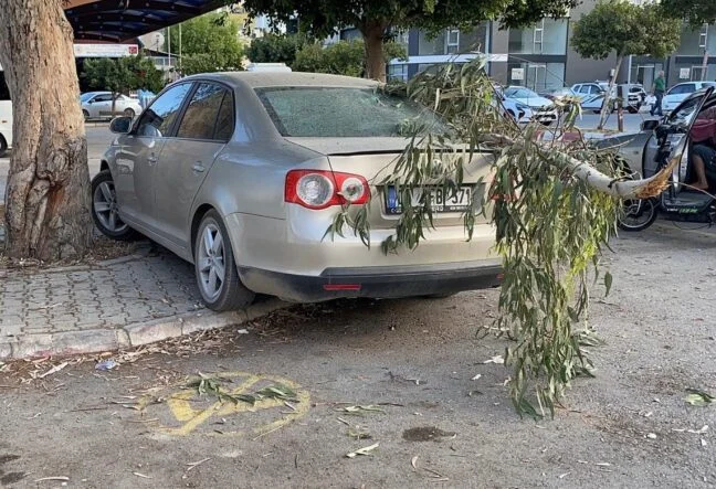 KIRILAN AĞAÇ DALI OTOMOBİLE ZARAR VERDİ