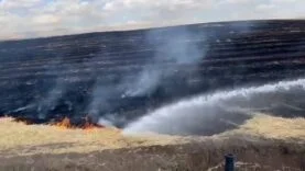 DİYARBAKIR'DA ANIZ YANGINI