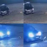ARACIN ÜZERİNDEN GEÇTİĞİ KÖPEK TELEF OLDU