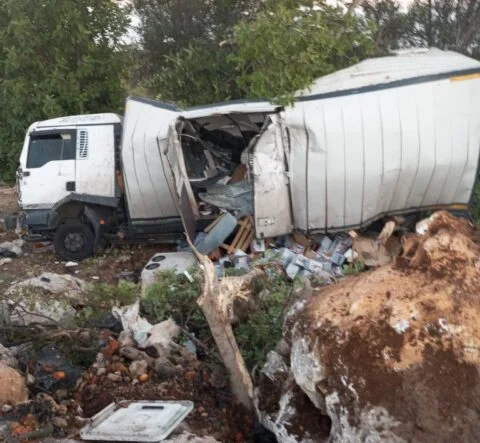 MERSİN'DE KAMYON KAZASI : 2 YARALI