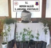 UYUŞTURUCU ÜRETEN ŞÜPHELİ YAKALANIP TUTUKLANDI
