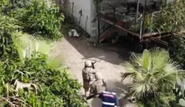 UYUŞTURUCU SATICILARINA ŞAFAK OPERASYONU: YÜZLERCE KİLO UYUŞTURUCU VE 5 TABANCA ELE GEÇİRİLDİ