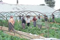 MERSİN'DE FIRTINA VE HORTUM SERALARA ZARAR VERDİ HORTUM VE FIRTINA ANI İSE BİR EVİN GÜVENLİK KAMERASINA YANSIDI