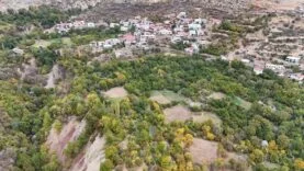 DİYARBAKIR’IN BU KÖYÜNDE NE EKSEN ONU BİÇİYORSUN AKDENİZ VE KARADENİZ İKLİMİNİN GÖRÜLDÜĞÜ BU KÖYDE ‘CENNET HURMASI’, ‘FINDIK’ VE NARENCİYELER YETİŞİYOR DİYARBAKIR’DA BARAJ HAVZASINDA KALAN KÖY, AKDENİZ VE KARADENİZ İKLİMİ MEYVELERİNİ VERİYOR