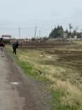 DİYARBAKIR’DA SOKAK HAYVANLARINA KUDUZ AŞISI UYGULANDI