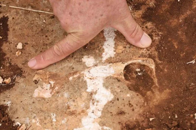 DİYARBAKIR'DA YÜZ MİLYONLARCA YIL ÖNCEYE AİT FOSİLLER BULUNDU DİYARBAKIR'IN KOCAKÖY İLÇESİNDE, BİRÇOK CANLI TÜRÜNÜN MİLYONLARCA YIL ÖNCE OLUŞAN FOSİLLERİ BULUNUYOR DİYARBAKIR'DA BULUNAN SEDİMENT TORTULU ALANI, TETİS DENİZİNİN ZEMİNİ OLARAK DEĞERLENDİRİLİYOR