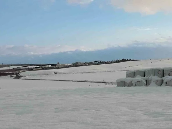DİYARBAKIR'DA 12 FABRİKANIN ÇATISI ÇÖKTÜ