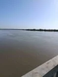 SEYHAN NEHRİ TAŞTI, TARSUS'TA BAZI TARIM ARAZİLERİ SULAR ALTINDA KALDI