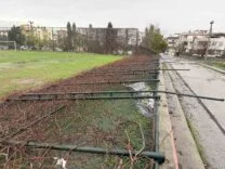 TARSUS’TA YAĞMUR VE FIRTINA ETKİLİ OLDU, SERALAR ZARAR GÖRDÜ