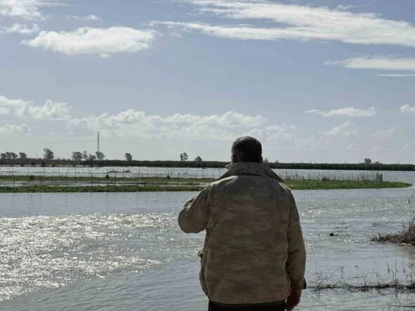 SEYHAN NEHRİ TAŞTI, TARSUS'TA TARIM ARAZİLERİ SULAR ALTINDA KALDI TAŞKIN NEDENİYLE TARSUS- TUZLA YOLU KAPATILDI