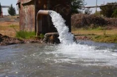IMG-20260220-WA0003