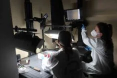 DİYARBAKIR EMNİYETİ'NİN BU BİRİMİNDEKİ KADINLAR DETAYCILIKLARIYLA OLAYLARI AYDINLATIYOR TÜRKİYE'DE SADECE 3 KADIN KÖPEKLE BOMBA ARAMASI YAPIYOR EMNİYET TEŞKİLATININ BU BİRİMLERİNDEKİ KADINLAR KİMİSİ BOMBA ARIYOR, KİMİSİ DETAYCILIKLARIYLA OLAYLARI AYDINLATIYOR