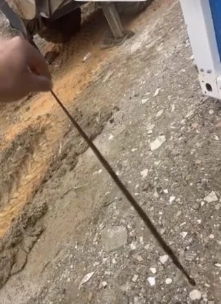 DİYARBAKIR'DA YILANLAR KIŞ UYKUSUNDAN UYANDI