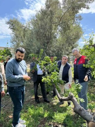 DOLU AFETİ SONRASI HASAR TESPİT ÇALIŞMALARINA BAŞLANDI