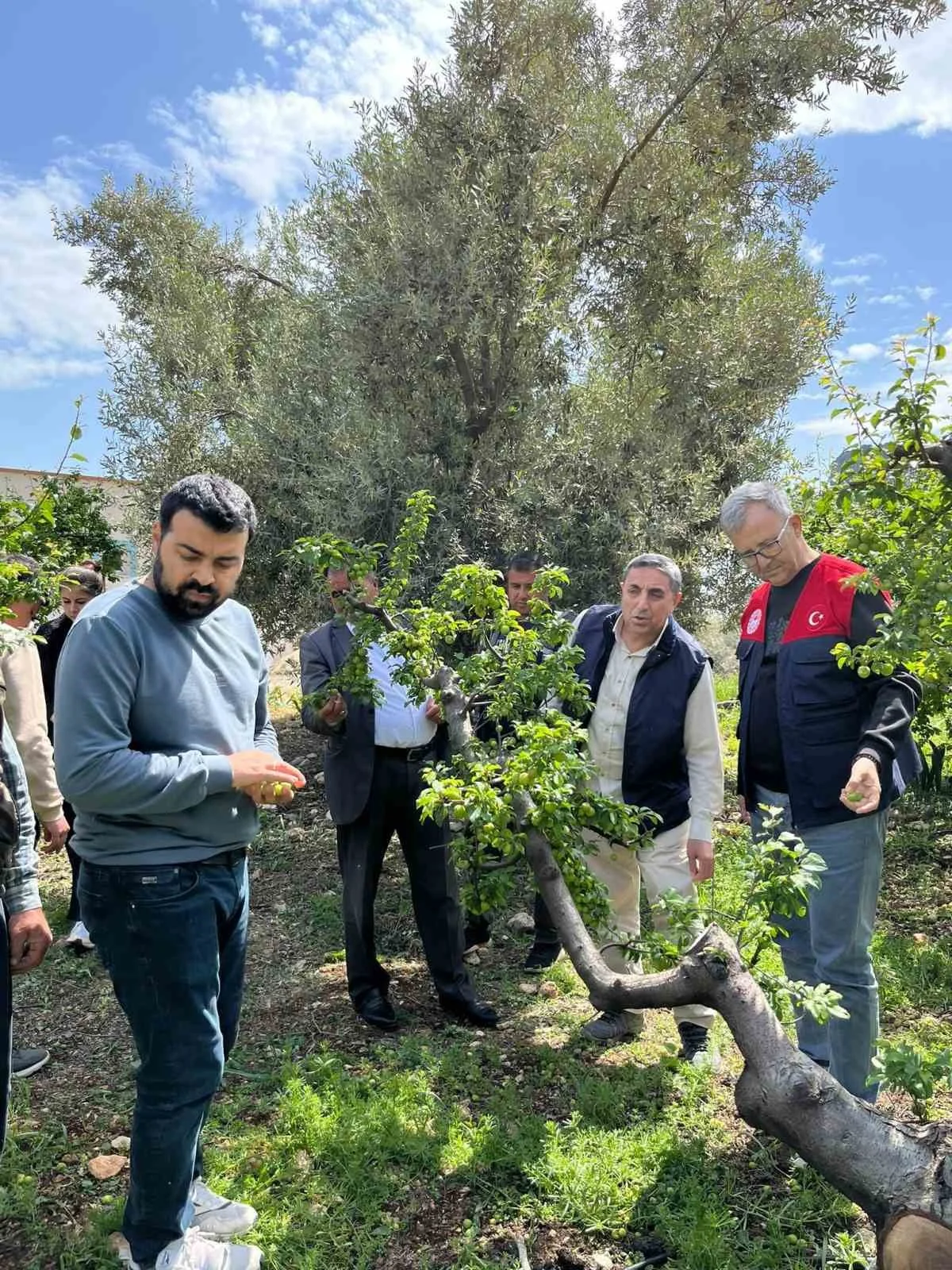 Dolu afeti sonrası hasar tespit çalışmalarına başlandı