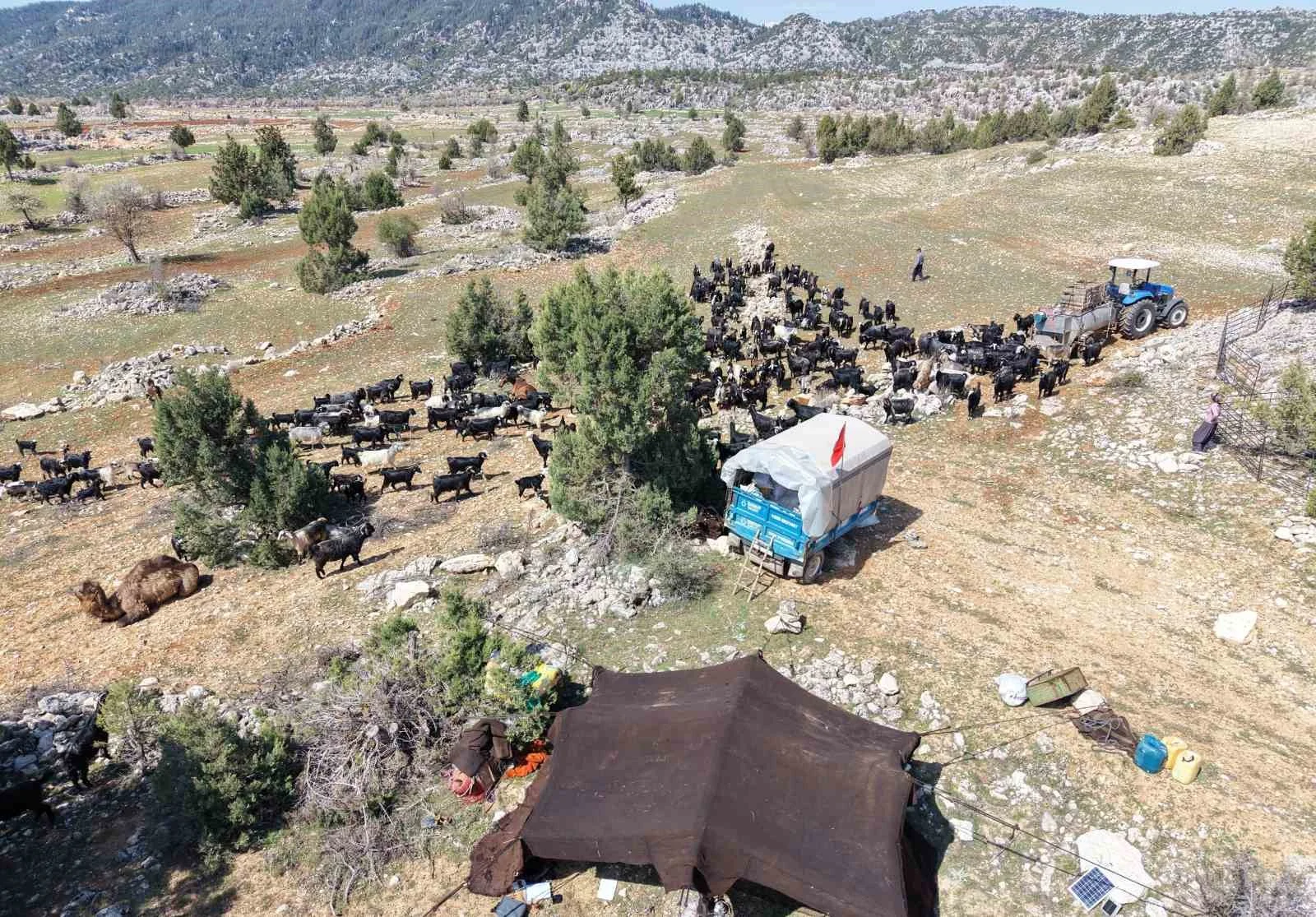 Toroslar’da Yörük göçü başladı: Sarıkeçililer yayla yolunda