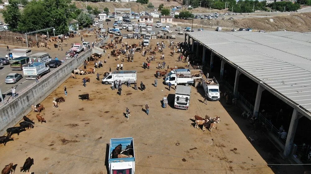 Diyarbakır Canlı Hayvan Borsası tadilata alındı