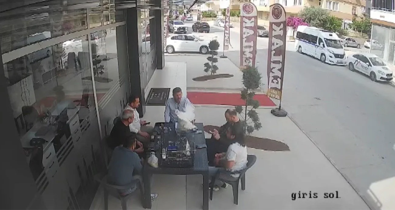 Davetsiz misafir şok yaşattı