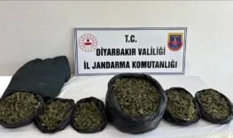 DİYARBAKIR’DA 20 KİLO 600 GRAM UYUŞTURUCU ELE GEÇİRİLDİ