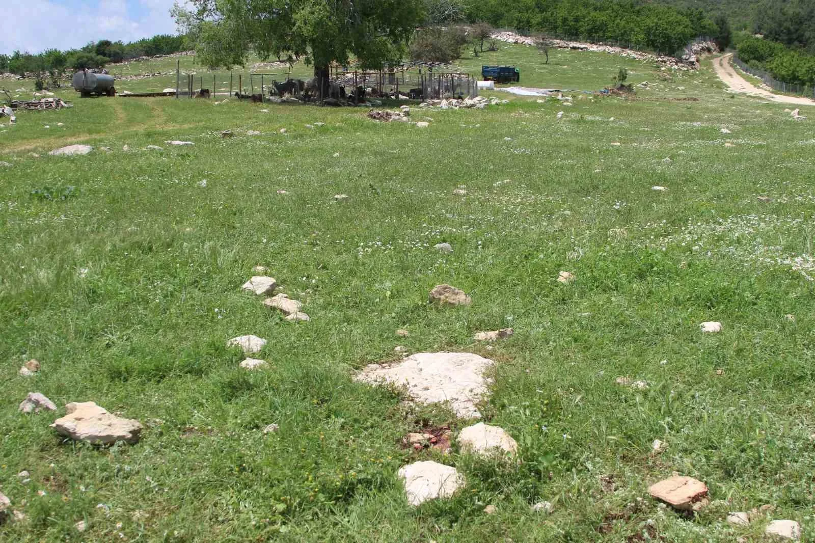 Fail kaçamayacağını anlayınca intihar etmiş