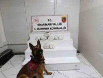 DİYARBAKIR'DA NARKOTİK OPERASYONU: 150 ŞÜPHELİ HAKKINDA YASAL İŞLEM