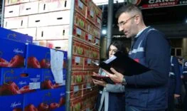 MERSİN’DE FAHİŞ FİYATA KARŞI HAL DENETİMLERİ SÜRÜYOR