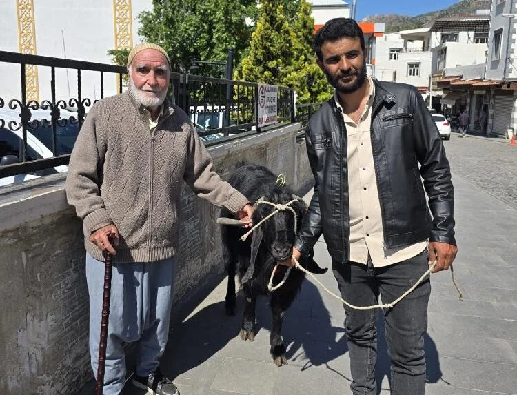 70 kiloluk dev keçi 36 bin liraya satıldı