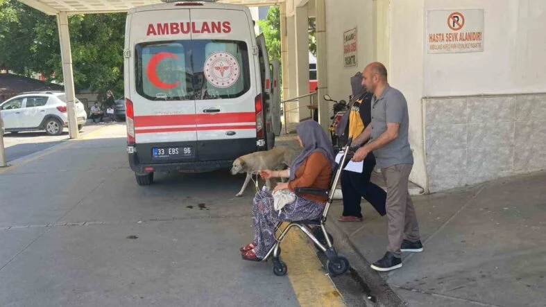 MANTAR YİYEN 7 KİŞİ ZEHİRLENME ŞÜPHESİYLE HASTANEYE KALDIRILDI
