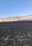 DİYARBAKIR’DA 100 DÖNÜMLÜK ALAN ALEVLERE TESLİM OLDU