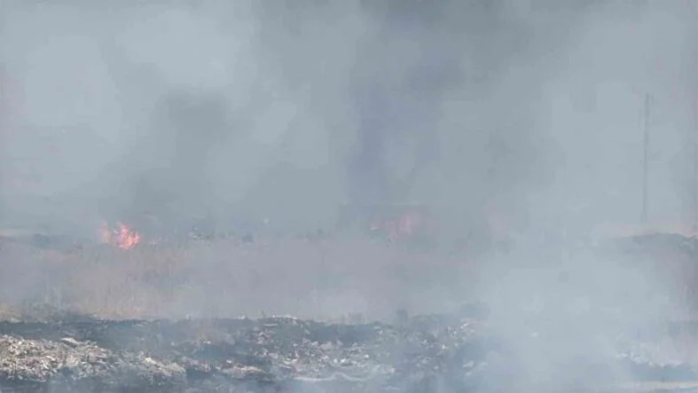 DİYARBAKIR’DA OTLUK ALANDA KORKUTAN YANGIN