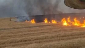 DİYARBAKIR'DA 5 BİN DÖNÜM ARAZİ ALEVLERE TESLİM OLDU