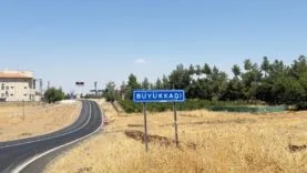 DİYARBAKIR'DA KEDİNİN ISIRDIĞI ÇOCUK ENTÜBE EDİLDİ, TESTLERDE KUDUZ ÇIKTI