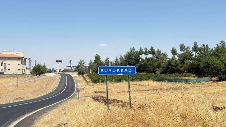 DİYARBAKIR'DA KEDİNİN ISIRDIĞI ÇOCUK ENTÜBE EDİLDİ, TESTLERDE KUDUZ ÇIKTI